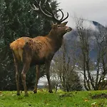 Kastanie - Bergerhoeh * Bad Wiessee