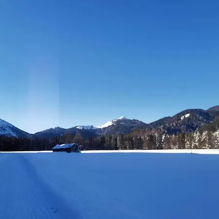 Kastanie - Bergerhoeh *