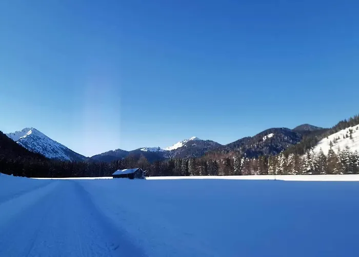 Kastanie - Bergerhoeh *