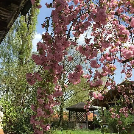 Apartment Kastanie - Bergerhoeh Bad Wiessee